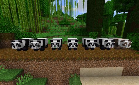 Pojawiaj si z losow osobowoci, przy czym domylna jest najczciej spotykana, a brzowa najrzadsza. . Minecraft panda types
